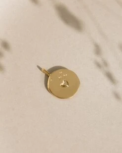 La Médaille Précieuse Seule Grande Sœur - En Vermeil - 17mm 15 La Médaille Précieuse Seule Grande Sœur - En Vermeil - 17mm -Bijoux Magasin 23Smedailleprecieuse messagerecto vermeil 17mm emoiemoi 0N5A26572web 41516629 fe61 4bec 8d70 a0d50ed3e0b1