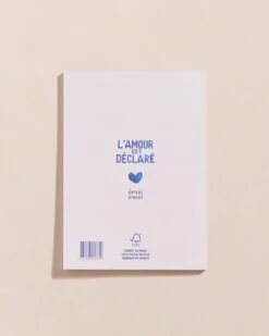 Le Carnet Mama - Cœurs Bleus -Bijoux Magasin 23WCarnetmessagebleu Feemarraineback emoiemoi TOPSHOT 19 442web a5fb4e09 26a1 454a b172 25fb891a71bb