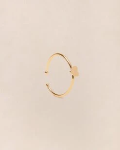 La Bague 1 Cœur - Dorée à L'or Fin 24 Carats -Bijoux Magasin PERMANENT BIJOUXDORES BagueToi 1coeur dore emoiemoi 0440web