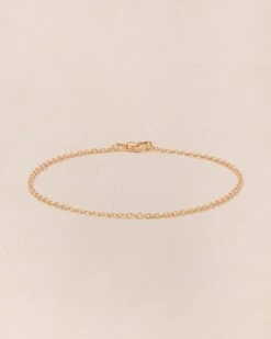 Le Bracelet Chaîne Simple 20cm Doré à L'or Fin 24 Carats