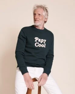 Le Sweat Papy Cool En Coton Bio - Charbon