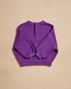 Le Sweat L'amour Est Cosmique Enfant En Coton Bio - Ultraviolet -Bijoux Magasin SWL amourestcosmiquevioletenfant6 1280x1600px