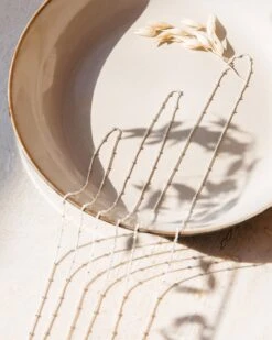 La Chaîne Argentée