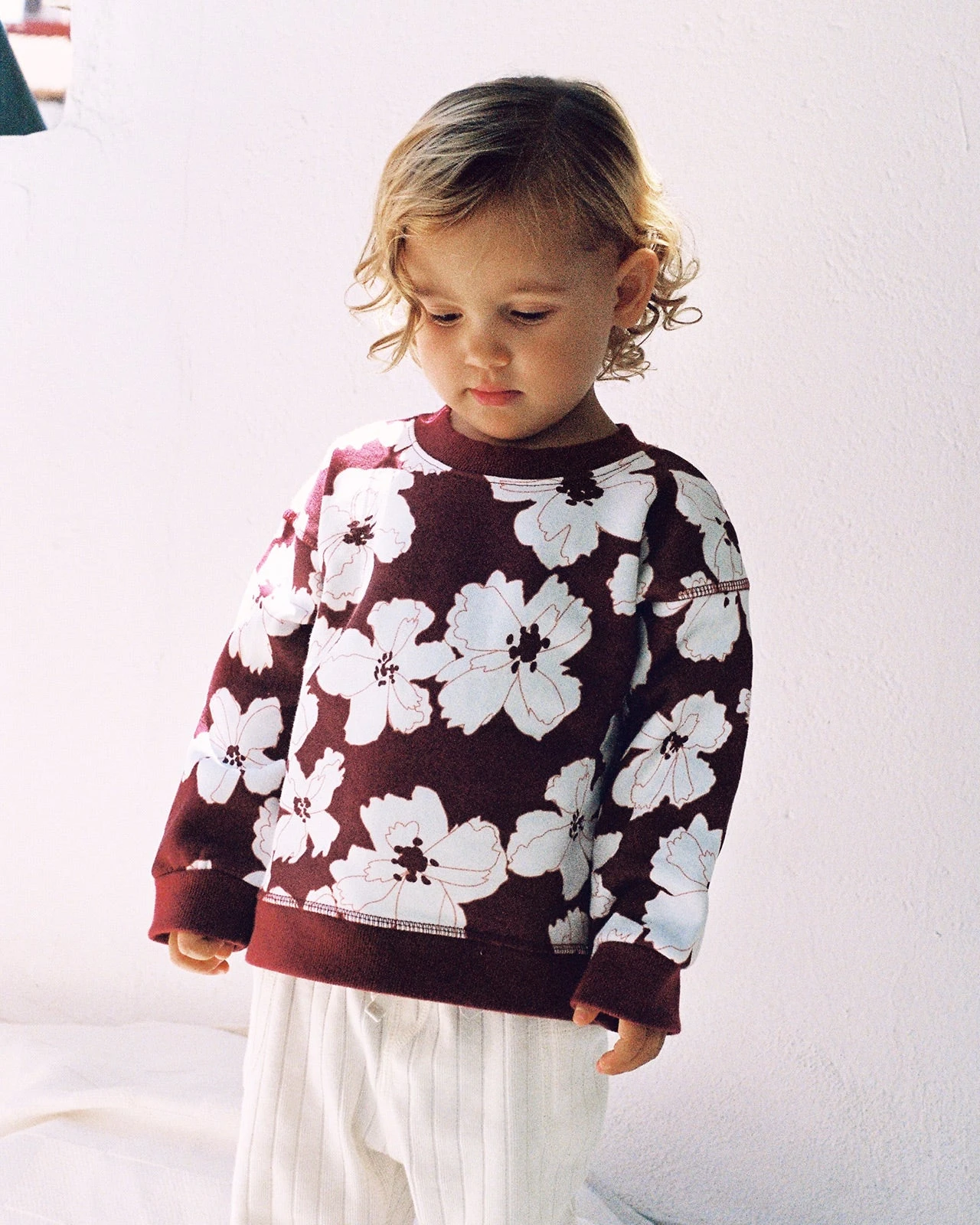 Le Sweat Anémones Maxi Enfant En Coton Bio - Bordeaux 3 Le Sweat Anémones Maxi Enfant En Coton Bio - Bordeaux