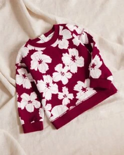 Le Sweat Anémones Maxi Enfant En Coton Bio - Bordeaux 17 Le Sweat Anémones Maxi Enfant En Coton Bio - Bordeaux -Bijoux Magasin le sweat anemones enfant en coton bio rhubarbe 7